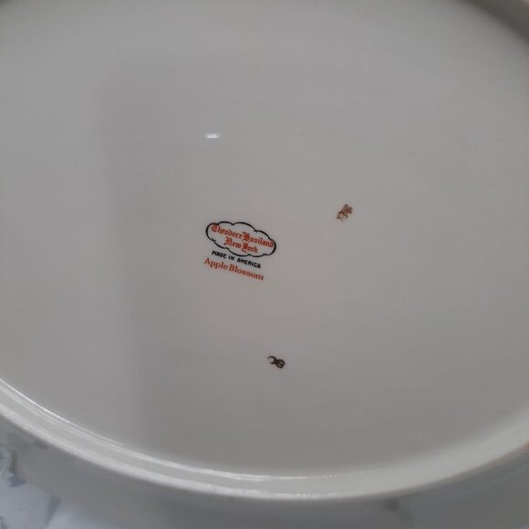 Theodore Haviland New York APPLE BLOSSOM 14" x 11"  Platter - Picture 9 of 13